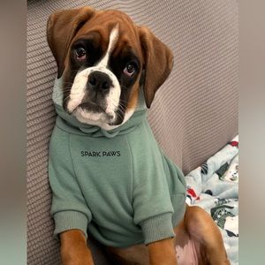 Spark Paws Essential Dog Hoodie - Teal Size Medium Worn One Time